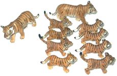Tiger10-9.jpg